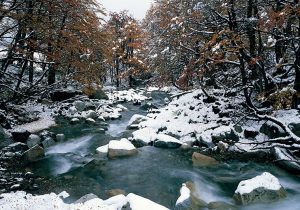 Invierno Wulkan